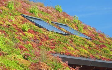 Ashfield living roof systems