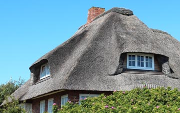 thatch roofing Ashfield